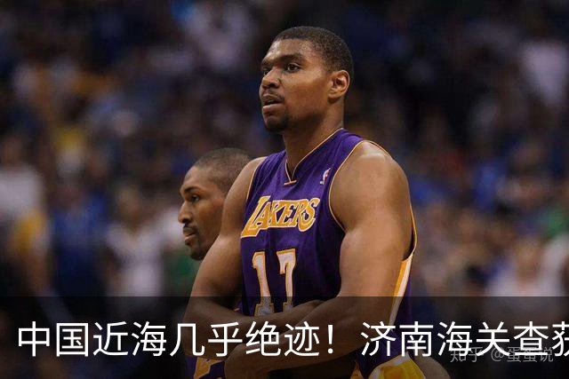 中国近海几乎绝迹！济南海关查获17只手镯，竟是由极危'国宝'制成