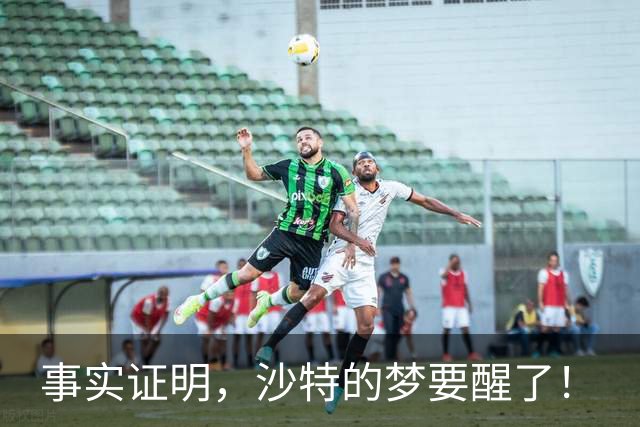 事实证明，沙特的梦要醒了！