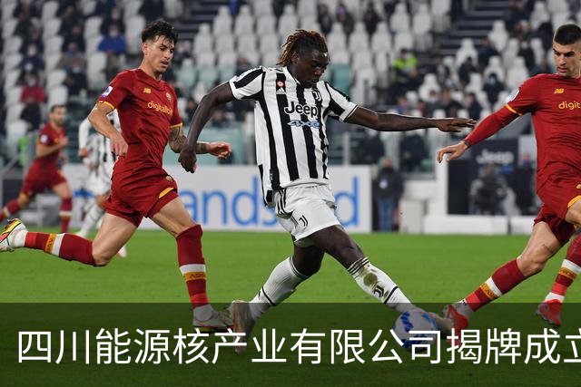 四川能源核产业有限公司揭牌成立施小琳申彦锋出席活动