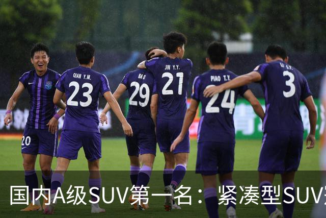 国内A级SUV第一名：紧凑型SUV冠军车，9个月时间销量破14万台