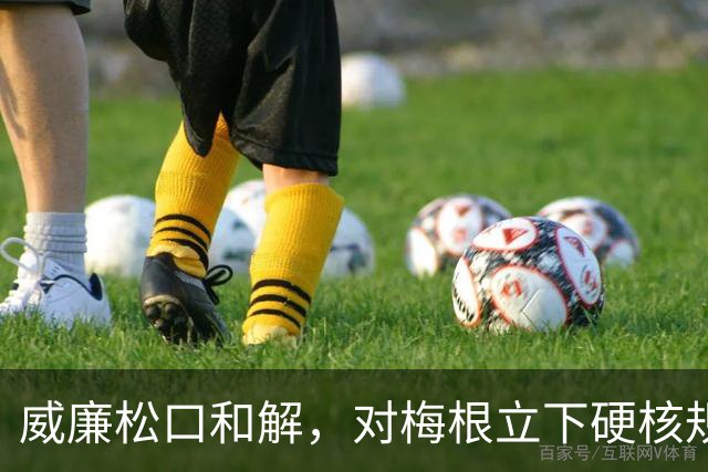威廉松口和解，对梅根立下硬核规矩，破冰来之不易！