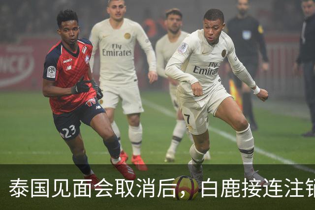 泰国见面会取消后，白鹿接连注销名下三家公司，网友：果然有猫腻