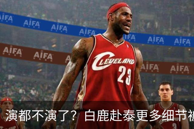 演都不演了？白鹿赴泰更多细节被曝，多人牵扯其中难怪不取消活动