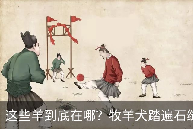 这些羊到底在哪？牧羊犬踏遍石缝只为把你找出来啊！