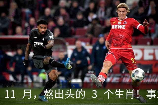 11 月，熬出头的 3 个生肖！事业逐步走高，辛苦付出开始变现