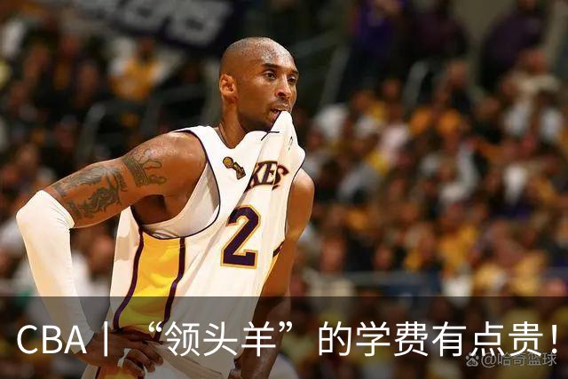 CBA丨“领头羊”的学费有点贵！青岛男篮主场不敌北京首钢，新赛季的强度远超预期